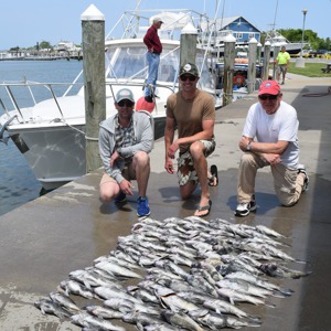 Image #1014 from GreatAnglers.com Image #1014 from GreatAnglers.com
