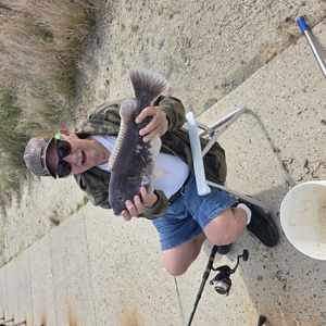 Image #10622 from GreatAnglers.com Image #10622 from GreatAnglers.com