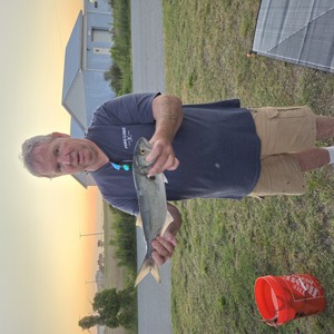 Image #10722 from GreatAnglers.com Image #10722 from GreatAnglers.com
