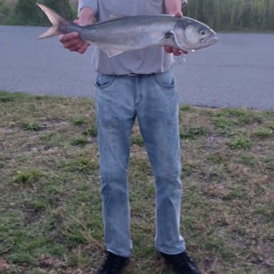 Image #10724 from GreatAnglers.com Image #10724 from GreatAnglers.com