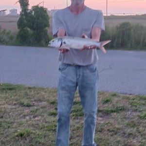 Image #10725 from GreatAnglers.com Image #10725 from GreatAnglers.com