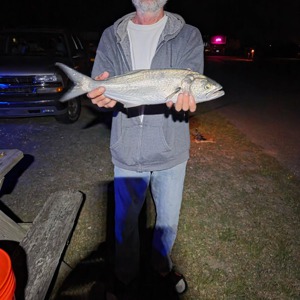 Image #10757 from GreatAnglers.com Image #10757 from GreatAnglers.com