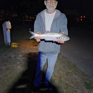 Image #10758 from GreatAnglers.com Image #10758 from GreatAnglers.com