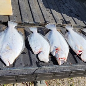 Image #10764 from GreatAnglers.com Image #10764 from GreatAnglers.com