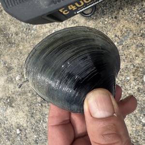 Image #10799 from GreatAnglers.com Image #10799 from GreatAnglers.com