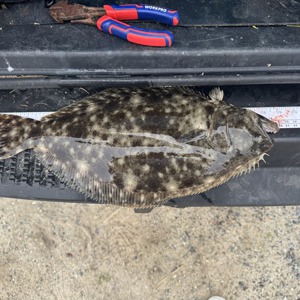Image #10805 from GreatAnglers.com Image #10805 from GreatAnglers.com