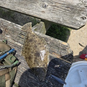 Image #10824 from GreatAnglers.com