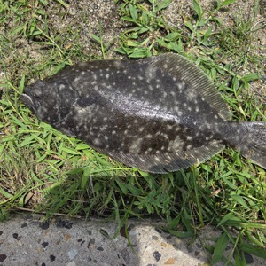 Image #10864 from GreatAnglers.com Image #10864 from GreatAnglers.com