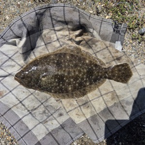 Image #10875 from GreatAnglers.com Image #10875 from GreatAnglers.com