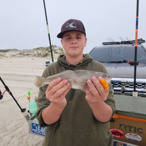 Image #10884 from GreatAnglers.com Image #10884 from GreatAnglers.com