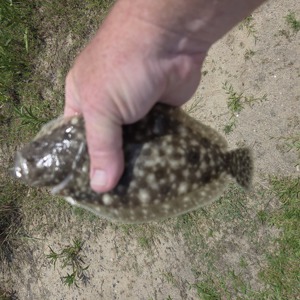 Image #10893 from GreatAnglers.com Image #10893 from GreatAnglers.com