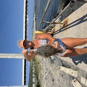 Image #10944 from GreatAnglers.com