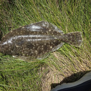 Image #10959 from GreatAnglers.com