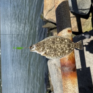 Image #11011 from GreatAnglers.com