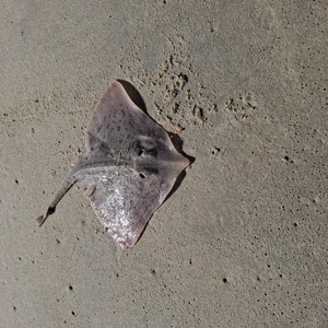 11016 2025-09-03-2186