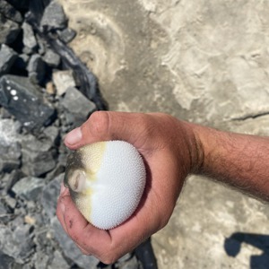 11040 2025-09-12-2265