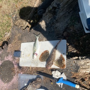 11048 2025-09-13-2265