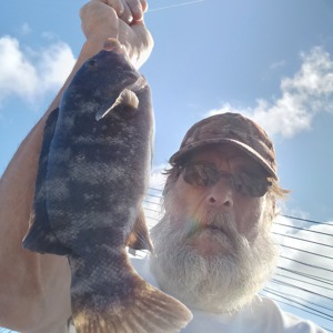 Image #11065 from GreatAnglers.com Image #11065 from GreatAnglers.com
