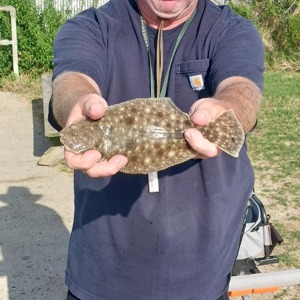 Image #11075 from GreatAnglers.com Image #11075 from GreatAnglers.com