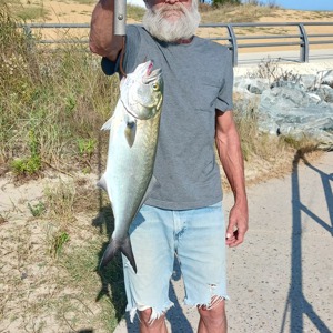 Image #11078 from GreatAnglers.com Image #11078 from GreatAnglers.com