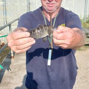 Image #11080 from GreatAnglers.com Image #11080 from GreatAnglers.com