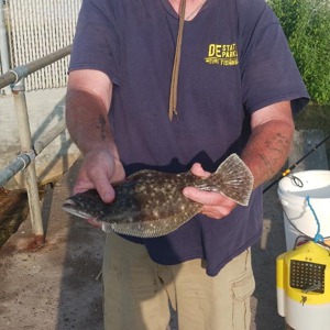 Image #11081 from GreatAnglers.com Image #11081 from GreatAnglers.com