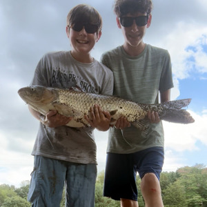 11085 2025-09-27-2159