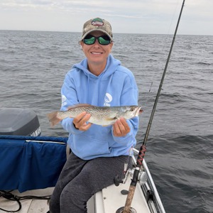 11088 2025-09-27-468