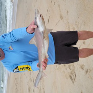 Image #11102 from GreatAnglers.com Image #11102 from GreatAnglers.com