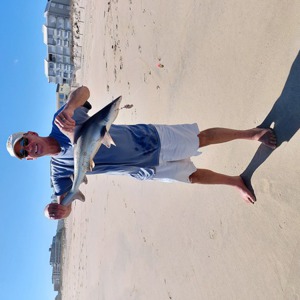 11118 2025-10-07-2186