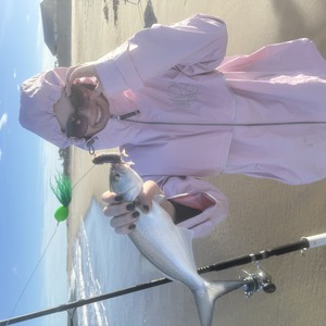 Image #11127 from GreatAnglers.com Image #11127 from GreatAnglers.com