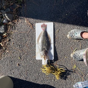 11138 2025-10-17-2265