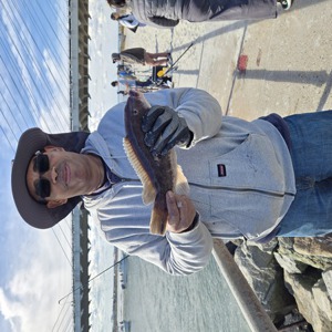 Image #11141 from GreatAnglers.com Image #11141 from GreatAnglers.com