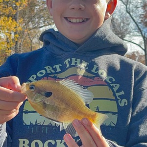 11150 2025-11-04-2159