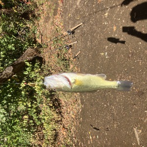 11152 2025-11-05-1720