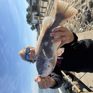 Image #11154 from GreatAnglers.com Image #11154 from GreatAnglers.com