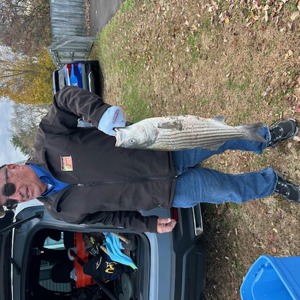 Image #11162 from GreatAnglers.com Image #11162 from GreatAnglers.com