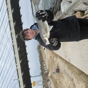 Image #11165 from GreatAnglers.com Image #11165 from GreatAnglers.com