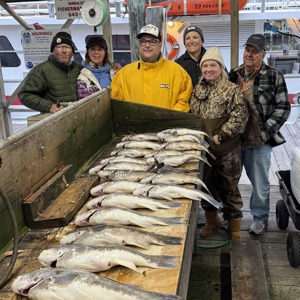 11170 2025-11-18-2160