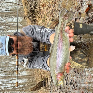 11205 2026-01-12-2418