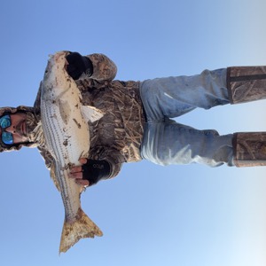 11220 2026-03-01-690