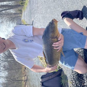 11227 2026-03-22-2159