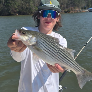 11236 2026-03-29-1451