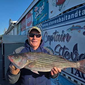 11240 2026-03-20-259