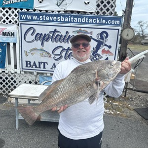 11252 2026-04-07-259