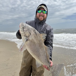 11253 2026-04-05-259