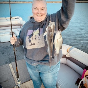 11270 2026-04-11-1309