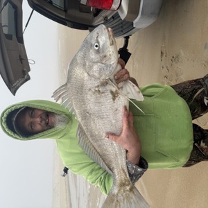 11281 2026-04-18-519