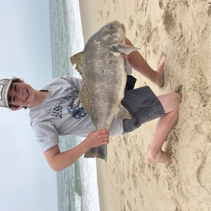 11289 2026-04-18-2159