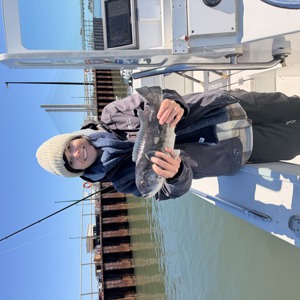 11292 2026-04-21-468